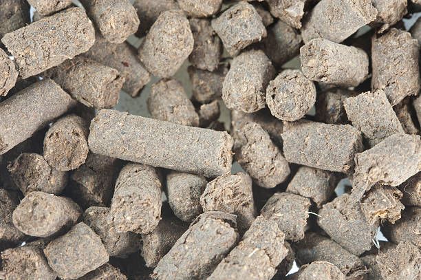 Beet Pulp Pellets Market Size and Share Analysis by Region