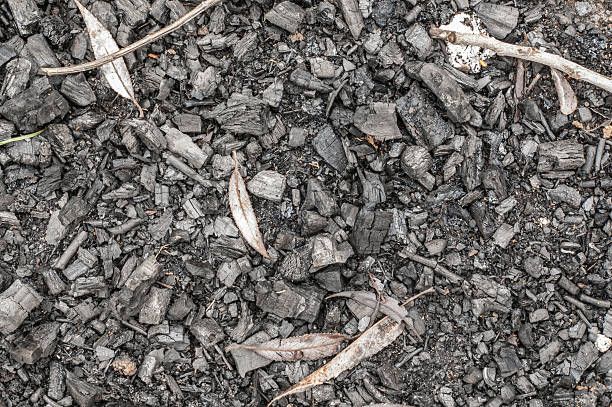 Global Biochar Industry Analysis: Opportunities to 2033